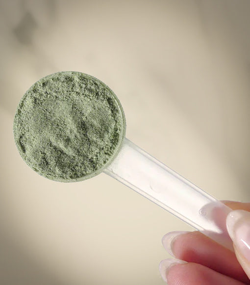Herboxa® SUPER GREENS¹