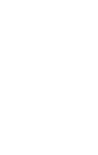 Mobile Image