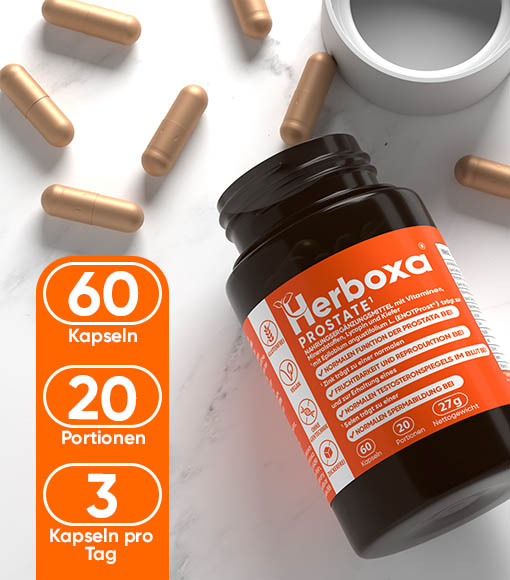 Herboxa® PROSTATE¹