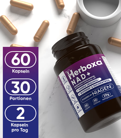 Herboxa NAD+ ¹
